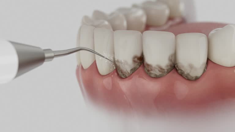 Reliable Dental contractor in Chena Ridge, AK by Dentist Open Now